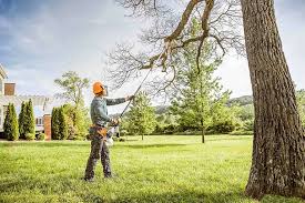 Best Aeration Services  in Kirkland, IL